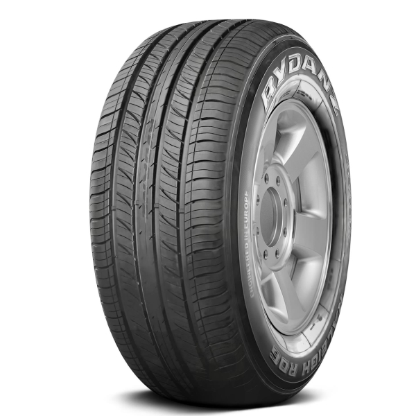 Rydanz R06 295/35/21
